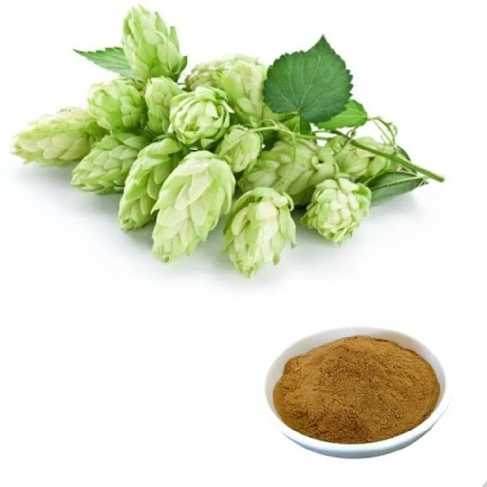 Adaphyte Plant Based